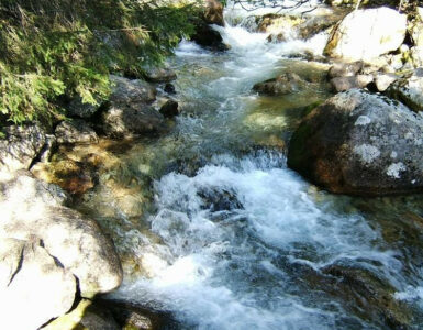 770b354c72910de6aa86c66723d88080