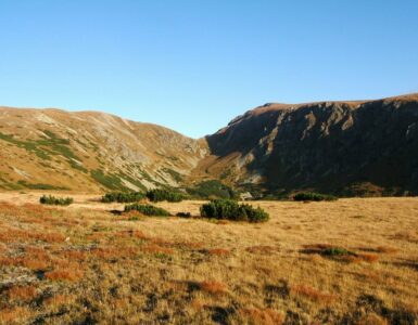 628-besenova-rohace-4